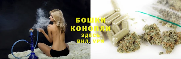 ешки Горнозаводск