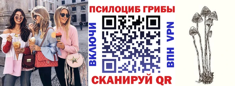 Купить закладки  Шадринск  Галлюциногенные грибы GOLDEN TEACHER 